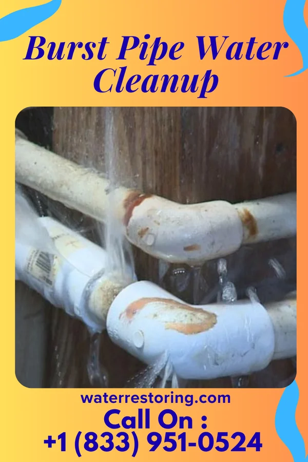 Burst Pipe Water Cleanup in Sand Point, OK