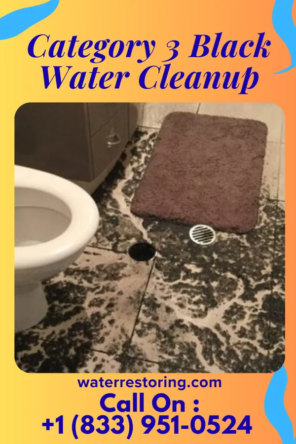 Category 3 Black Water Cleanup in Sand Point, OK