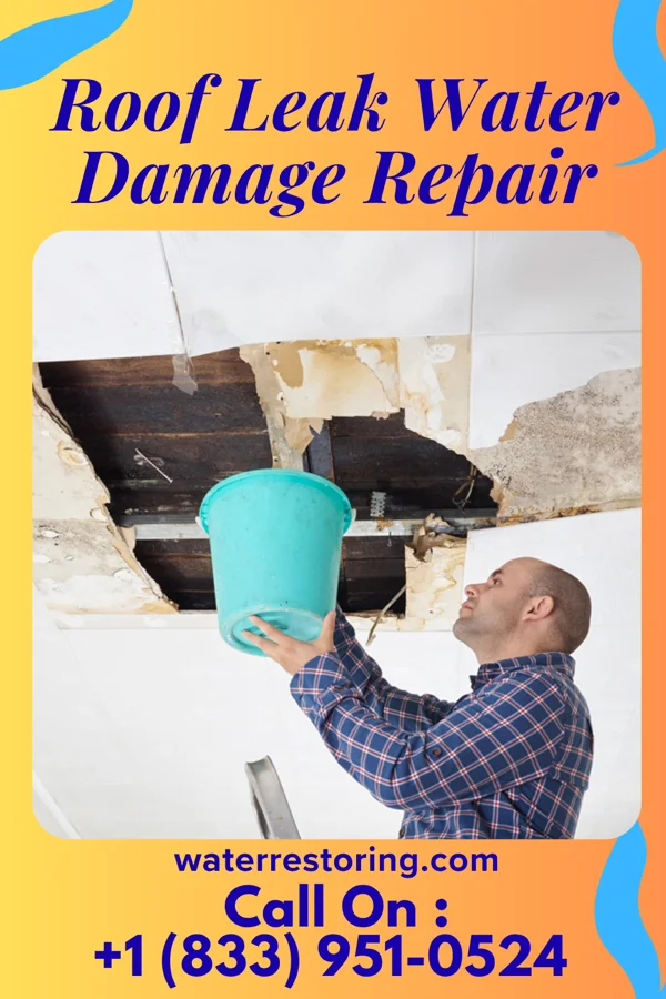 Roof Leak Water Damage Repair in Sand Point, OK